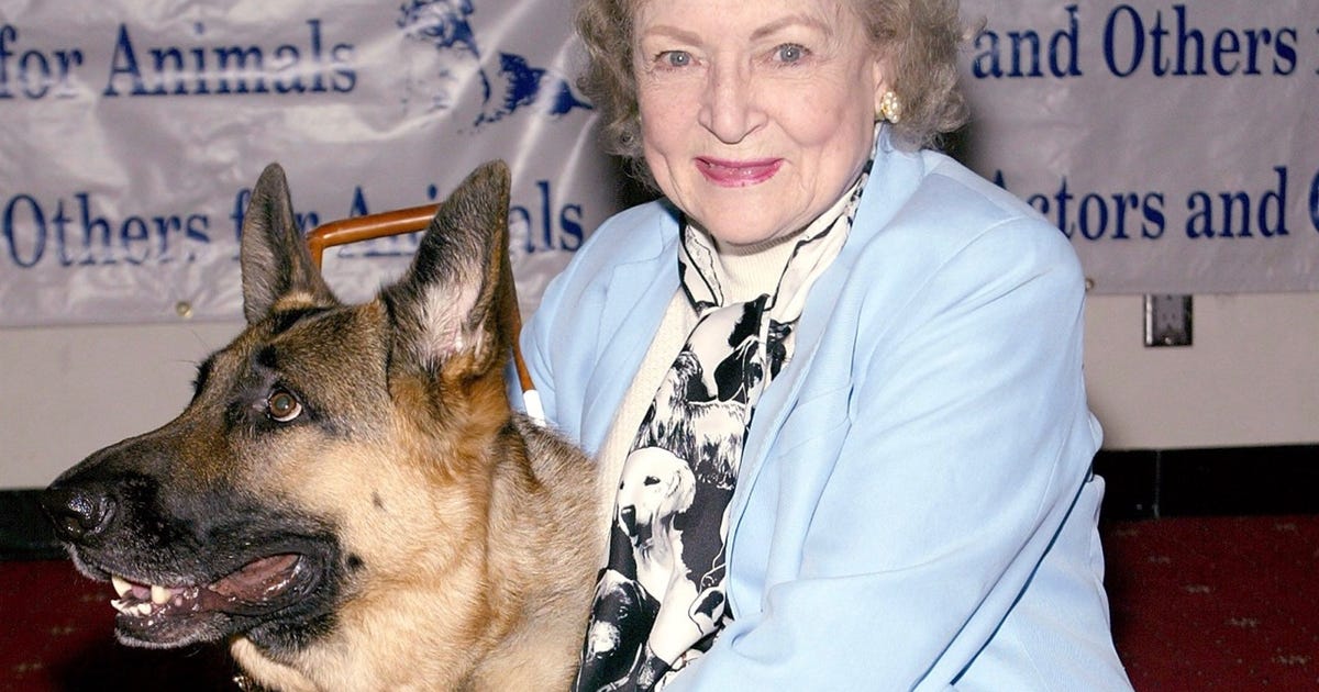 #BettyWhiteChallenge urges fans to donate to animals in late star's honor     – CNET