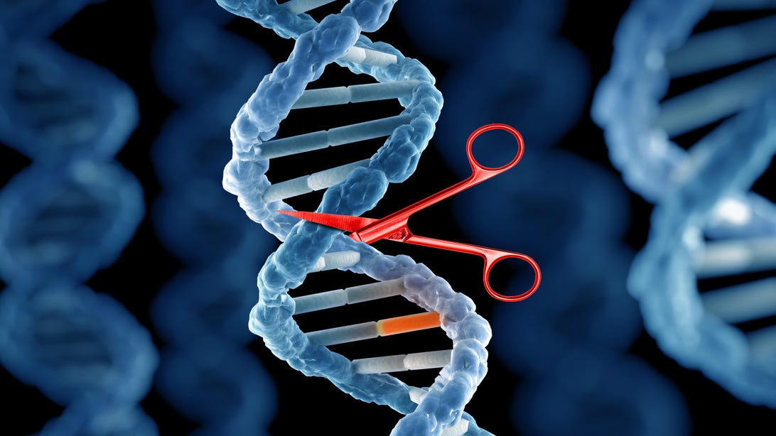 literature review on gene editing
