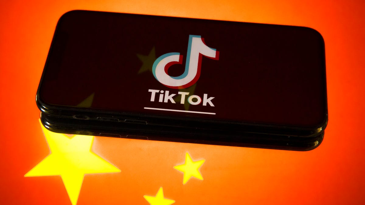Tiktok Gets Banned In Another Country Cnet - is roblox banned in pakistan
