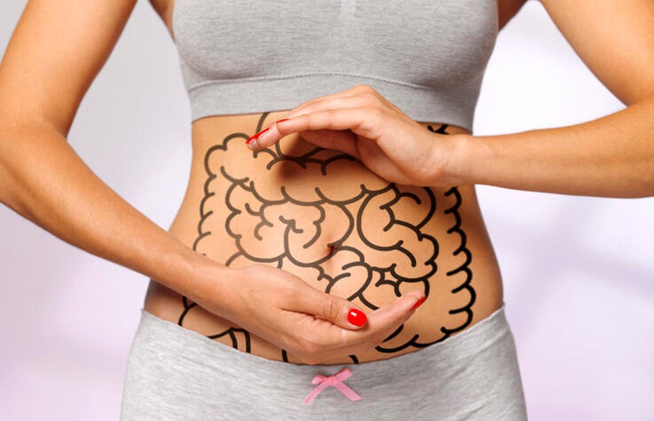 The gut-brain axis: How your gut affects your mental health - CNET