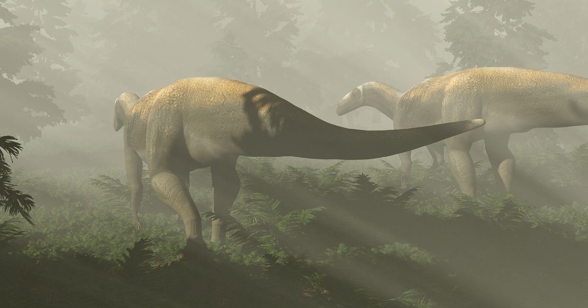 monster-dinosaur-fossil-may-not-belong-to-vicious-raptor-like-predator