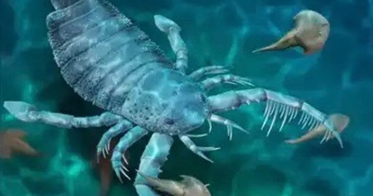 Uno scorpione delle dimensioni di un cane terrorizzava i fondali marini circa 400 milioni di anni fa