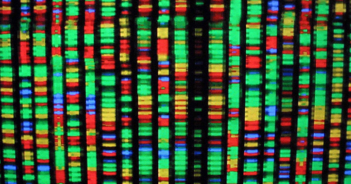 Finest DNA Take a look at for 2022: AncestryDNA vs. 23andMe and Extra