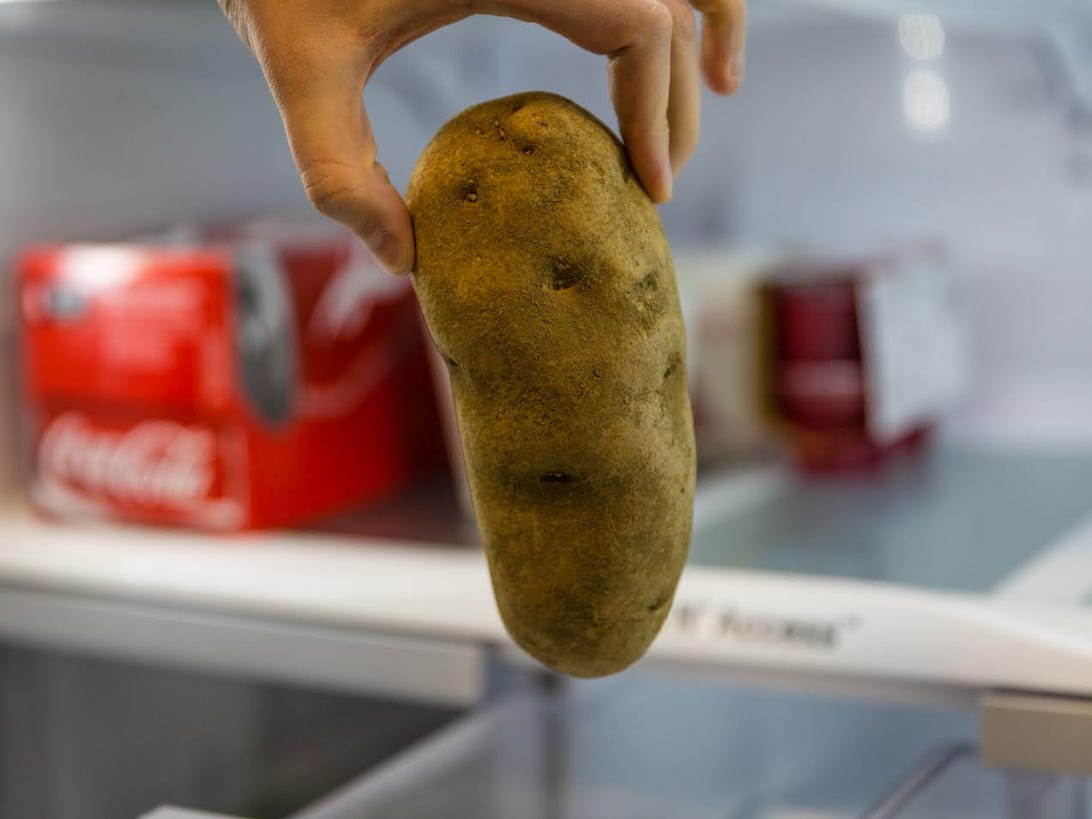 refrigerator-potato.jpg