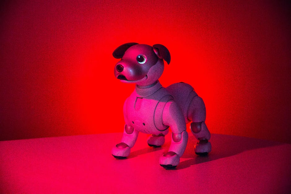 Yes The Robot Dog Ate Your Privacy Cnet