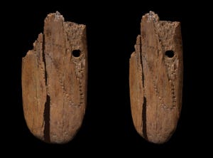 Pendant from 41,500 years ago may have uncovered a 