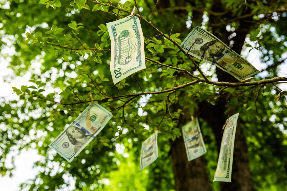 cash-money-growing-on-trees-bounty-stimulus-tax-credit-cnet-2021-021