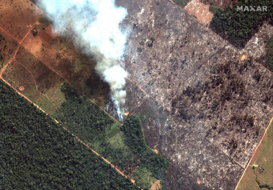 Amazon Rainforest Fires Everything We Know And How You Can Help Cnet