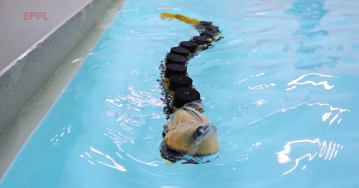 Swimming robot inspired by 400-million-year-old parasitic fish - CNET