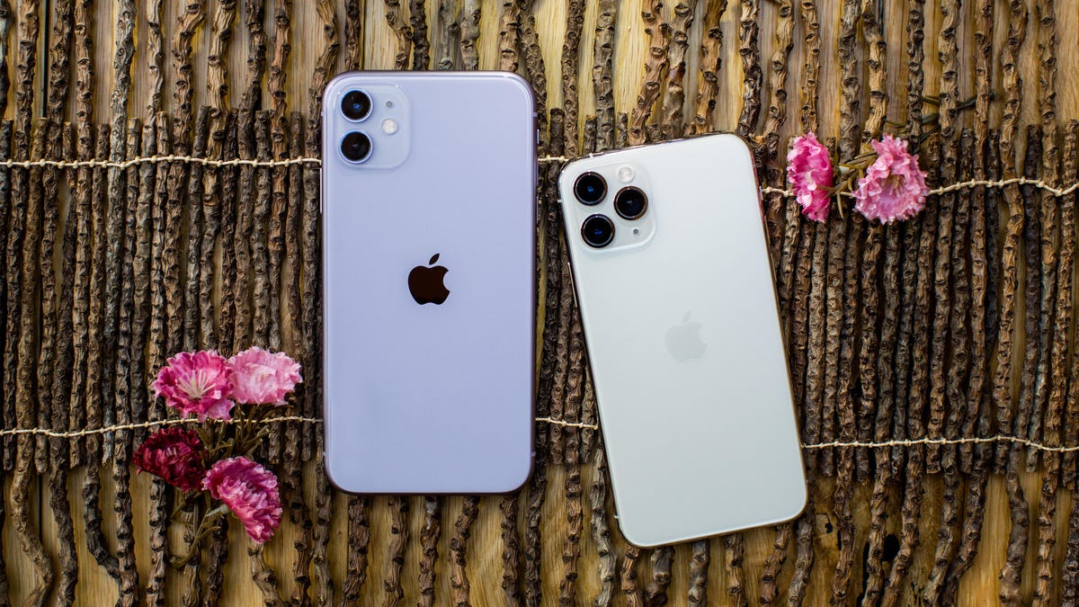 Iphone 11 Vs 11 Pro Vs 11 Pro Max All Of The Features Worth Upgrading For Cnet