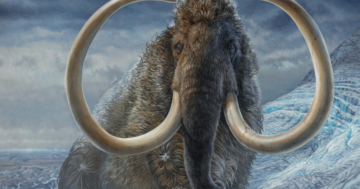 Científicos mapean la ruta de un mamut lanudo de 17.000 años usando su colmillo