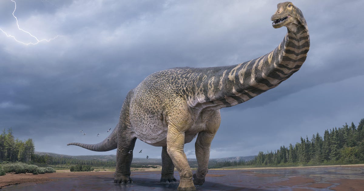 Découvrez l’un des plus grands dinosaures qui ont foulé la terre en Australie