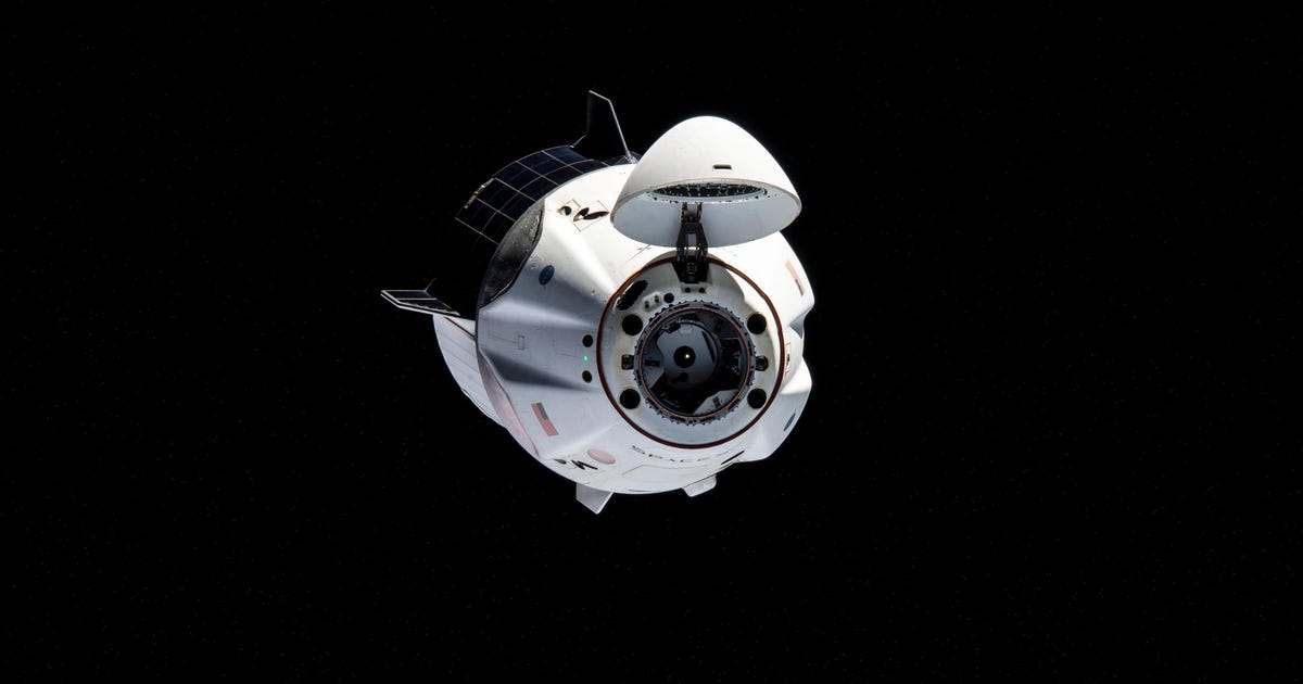 Photo of Splashdown de SpaceX Crew-1: Comment vous pouvez voir directement les astronautes de la NASA lorsqu’ils rentrent chez eux