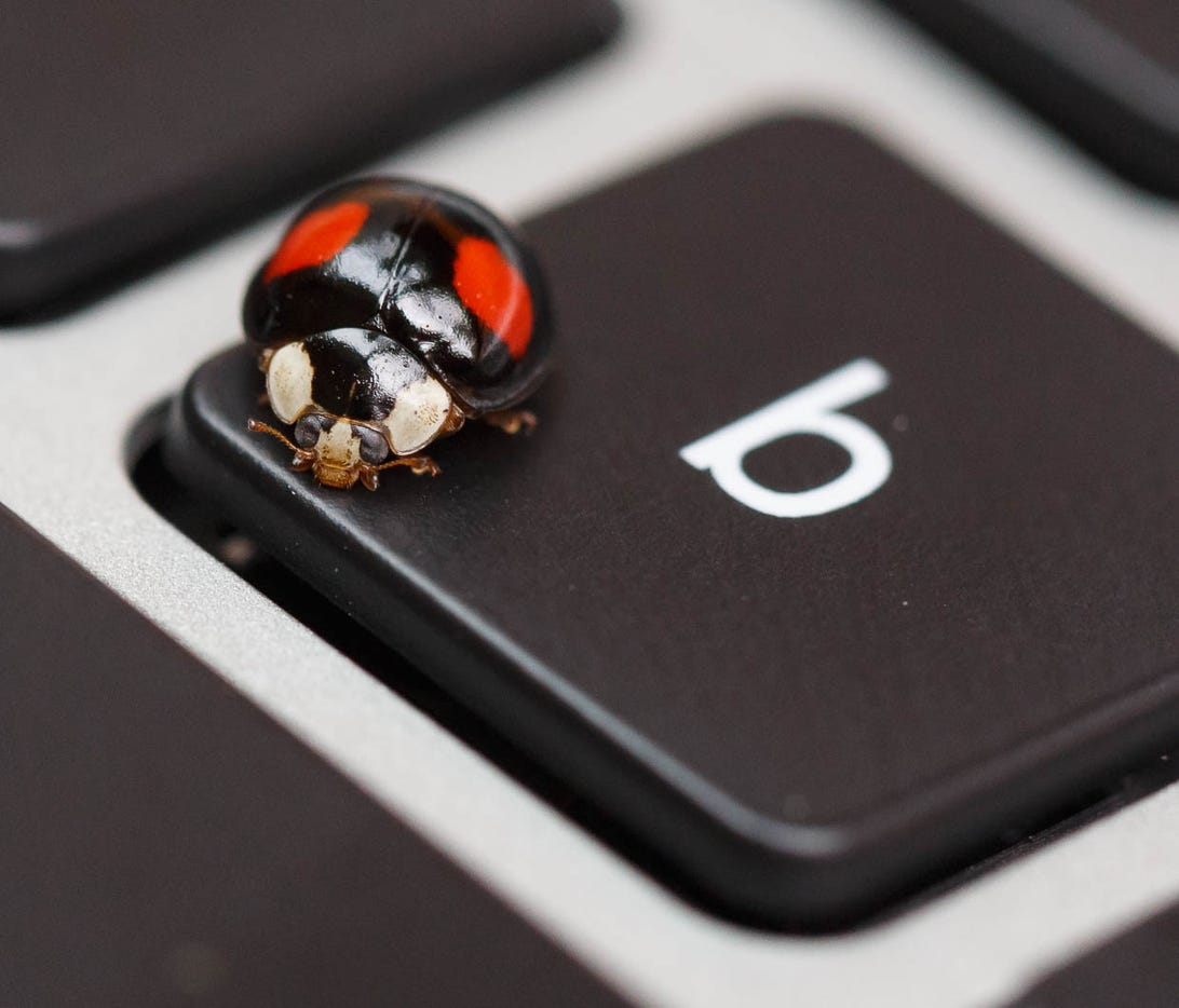What computer is totally free of bugs? At least this beetle knew which key to land on.