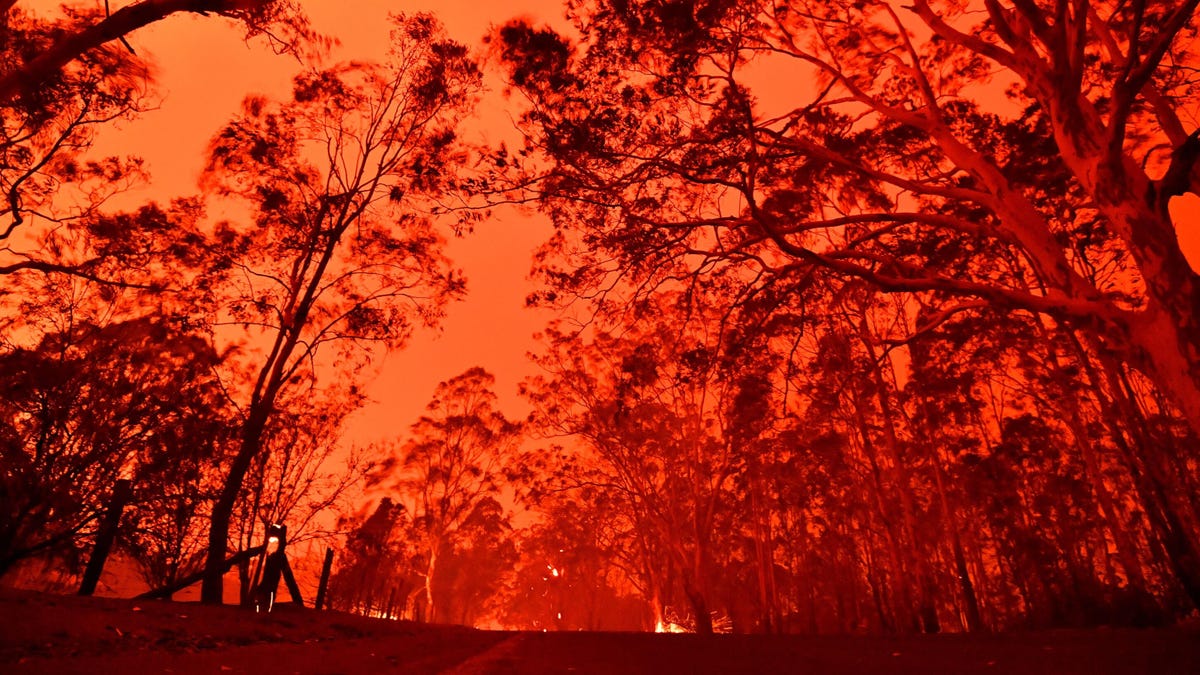 Australian Fires Everything We Know About The Crisis And How You Can Help Cnet
