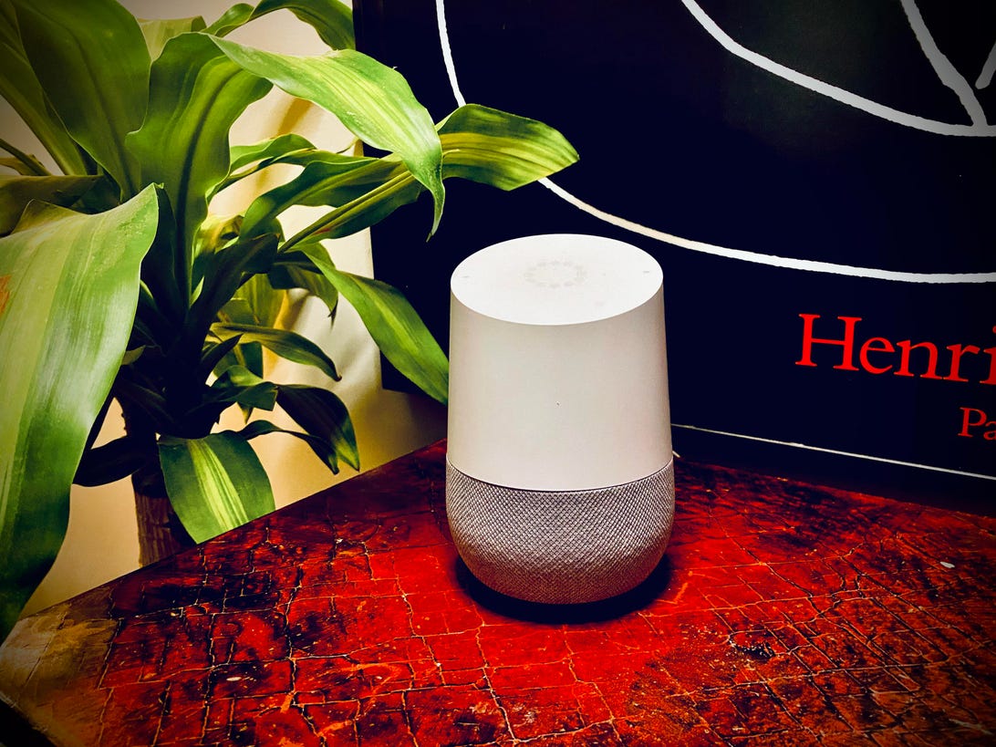 google home with painting and houseplant
