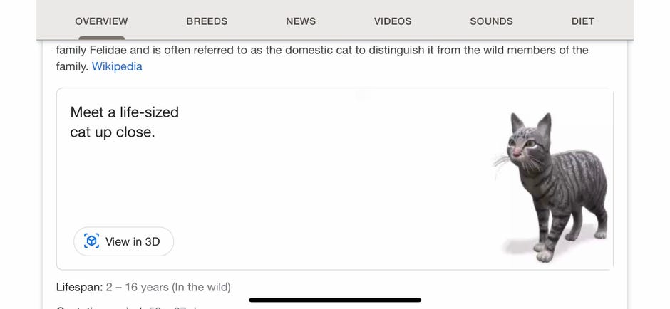 google-cat-ar-seach