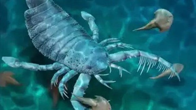 Dog-sized  scorpion terrorized the seafloor 400m years ago