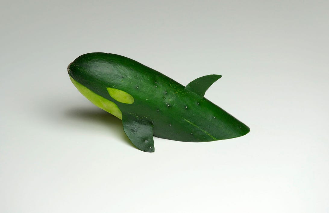 Cucumber Killer Whale, by Brock Davis