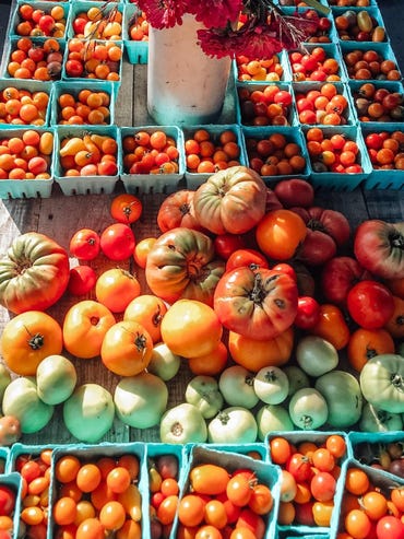 tomatoes-jpg-cropped