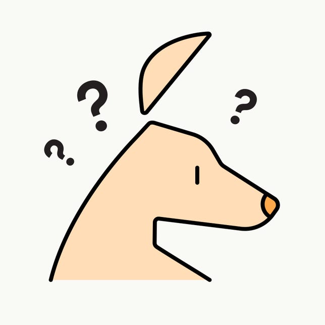 Confused Kangaroo