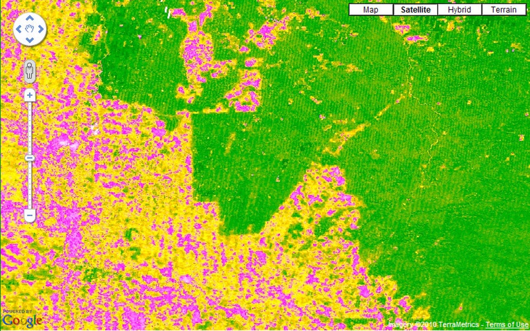 Another Google Earth Engine project allowed the Surui tribe in the Amazon to receive compensation from the Brazilian government for maintaining the forests in their territory, the green area in the middle of the picture with the clear borders. The yellow and pink areas represent deforested land.
