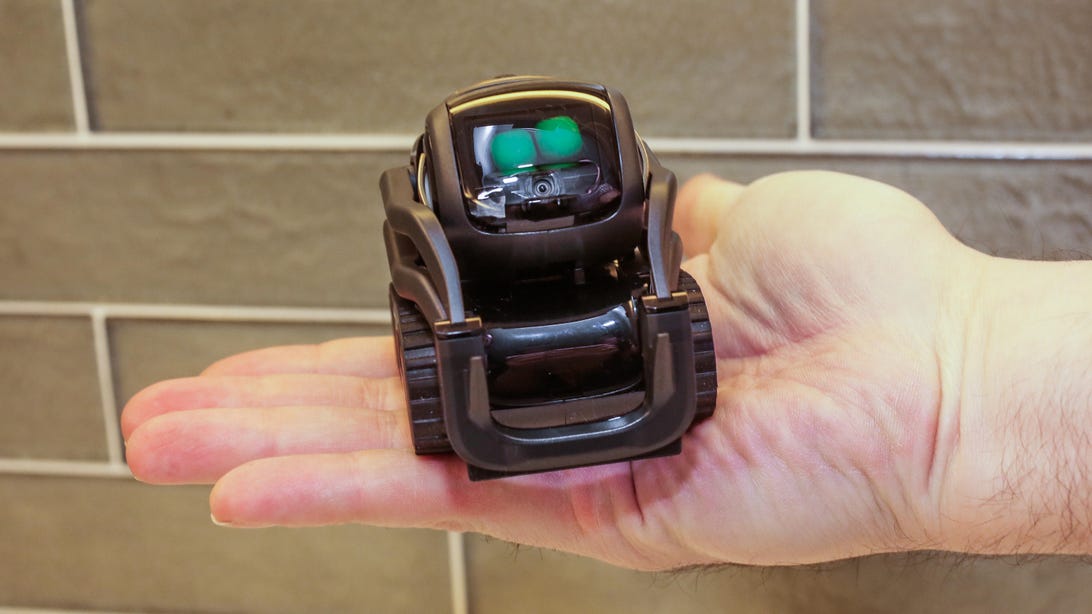 Anki, maker of cute mini-robot Vector, is shutting down