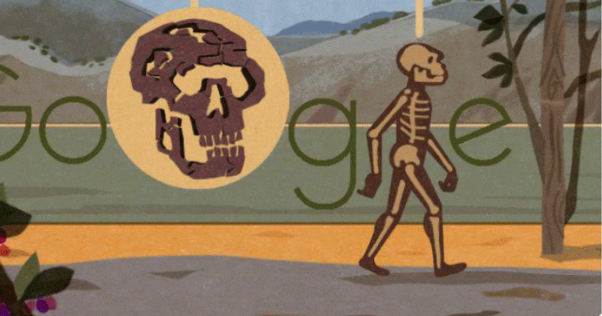 Google Doodle digs into the Turkana Human - CNET