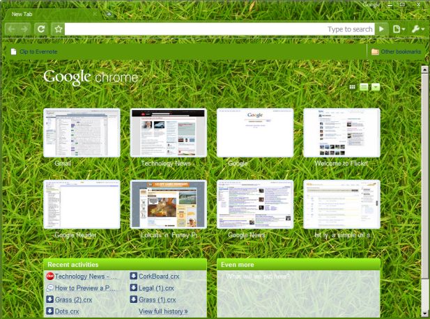 Chrome themes, such as this one called Grass, are in the new Chrome beta.