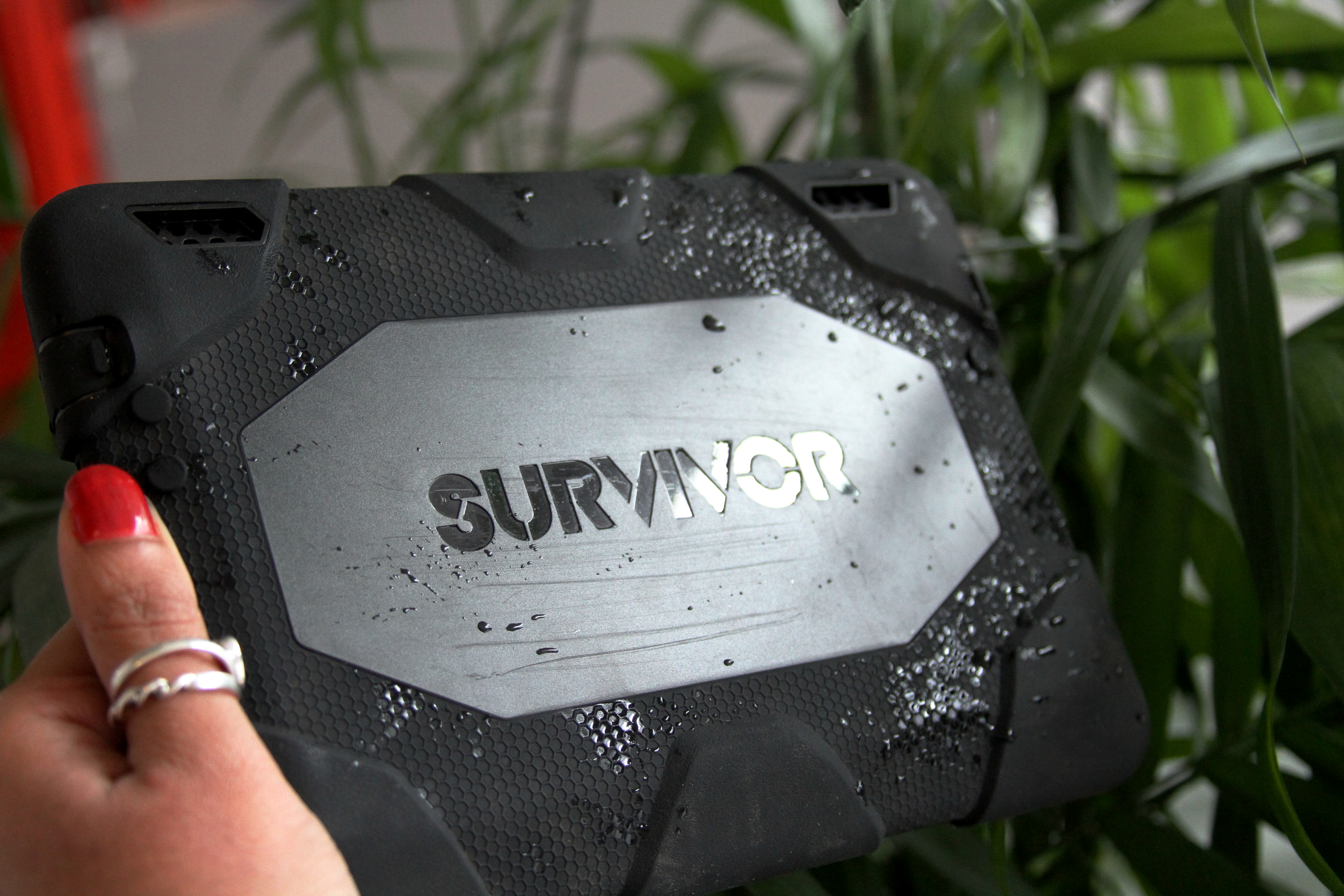 survivor3.jpg