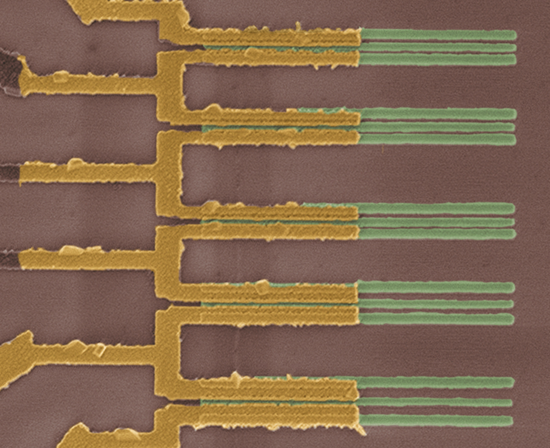 This microscopic view shows a faint vertical line consisting of carbon nanotube segments bonded to the golden-colored parallel wires.