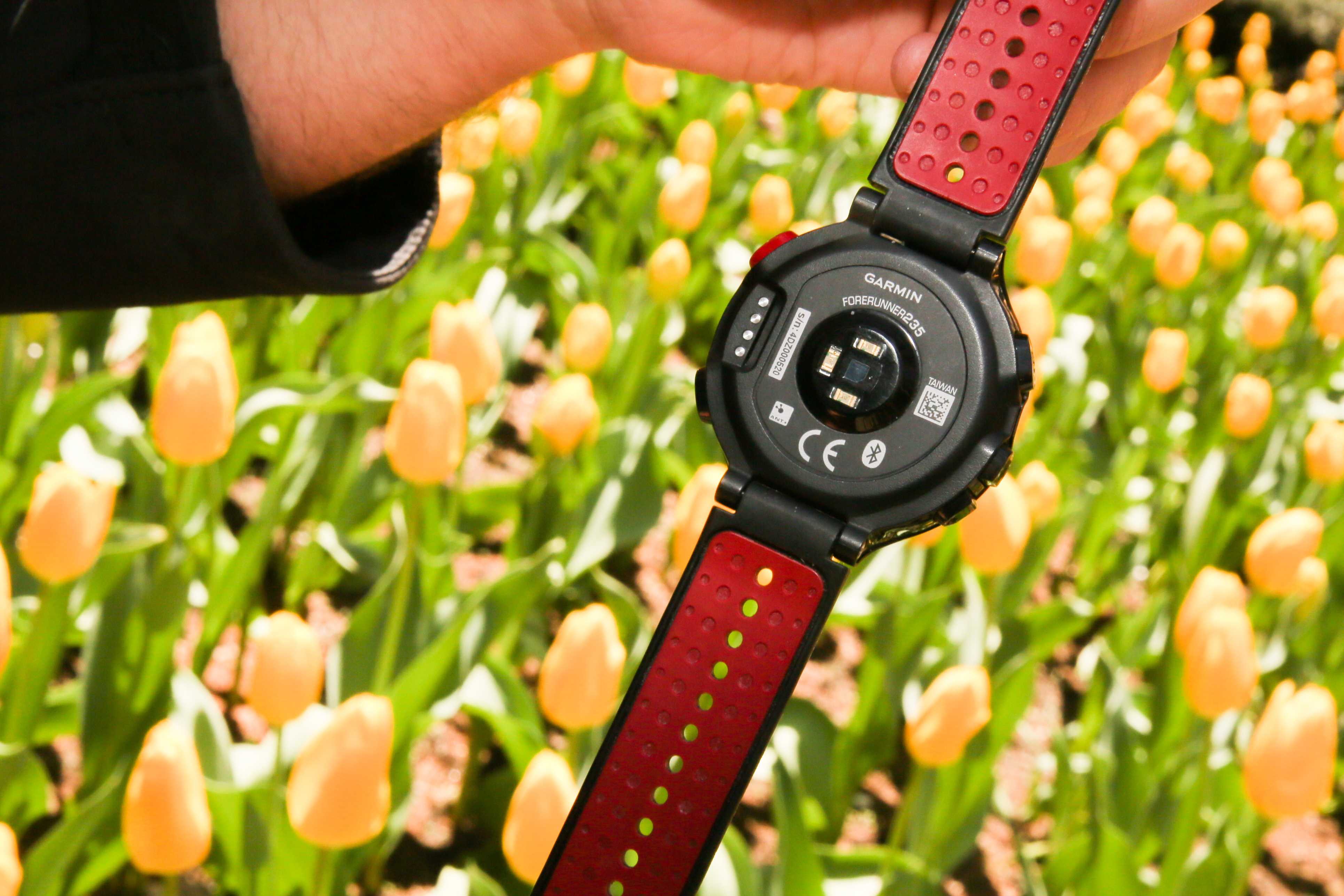 Forerunner 235 review: The best watch for serious runners CNET