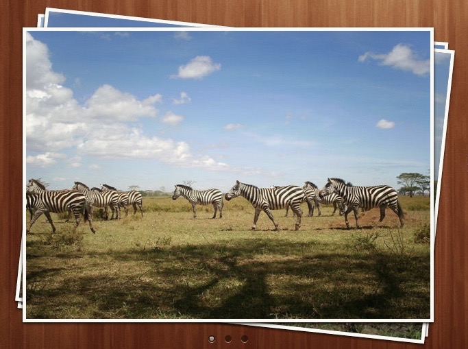 Snapshot Serengeti