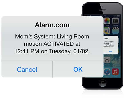 Alarm.com's wellness vision includes family monitoring when home care providers are either unavailable, unaffordable or unwelcome.