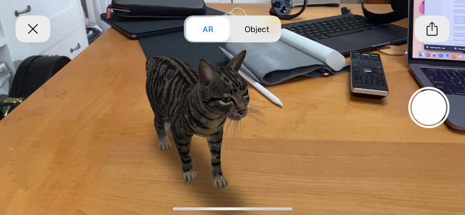 View Animal 3D View Camera Gif