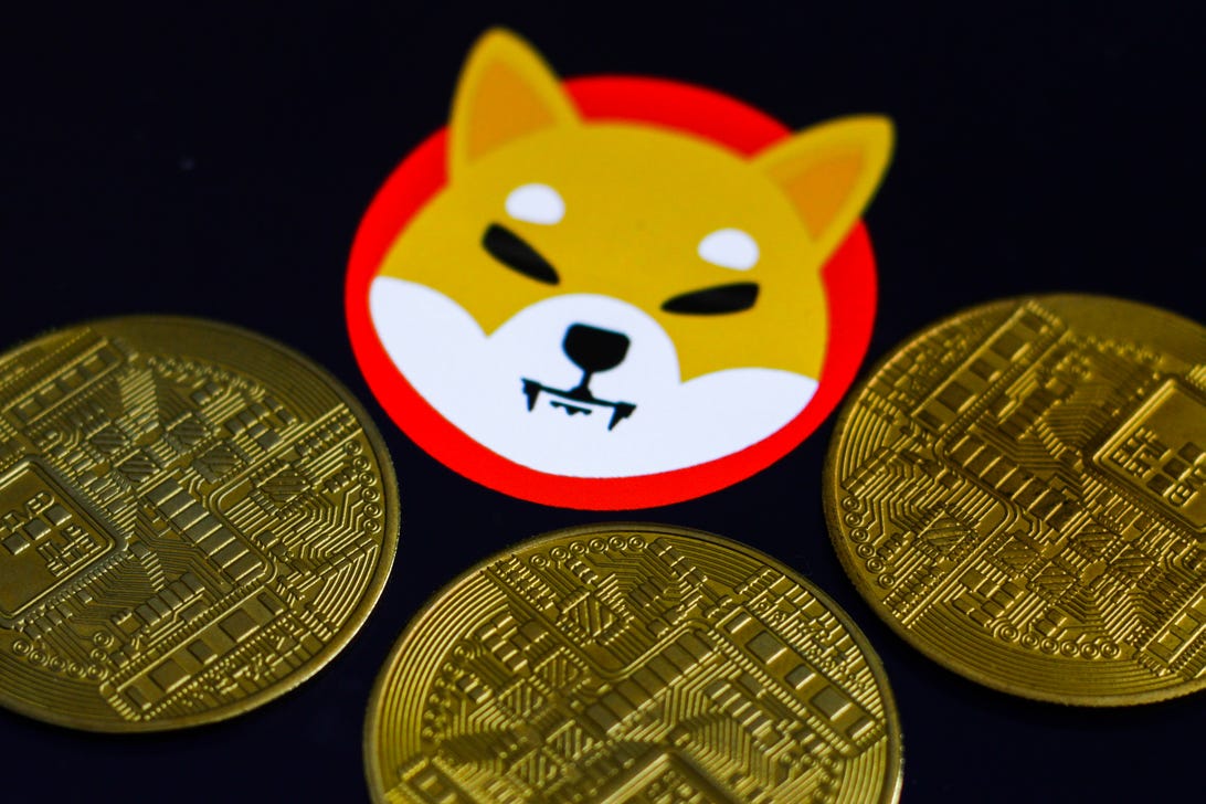 Shiba Inu coin is a new favorite for crypto traders