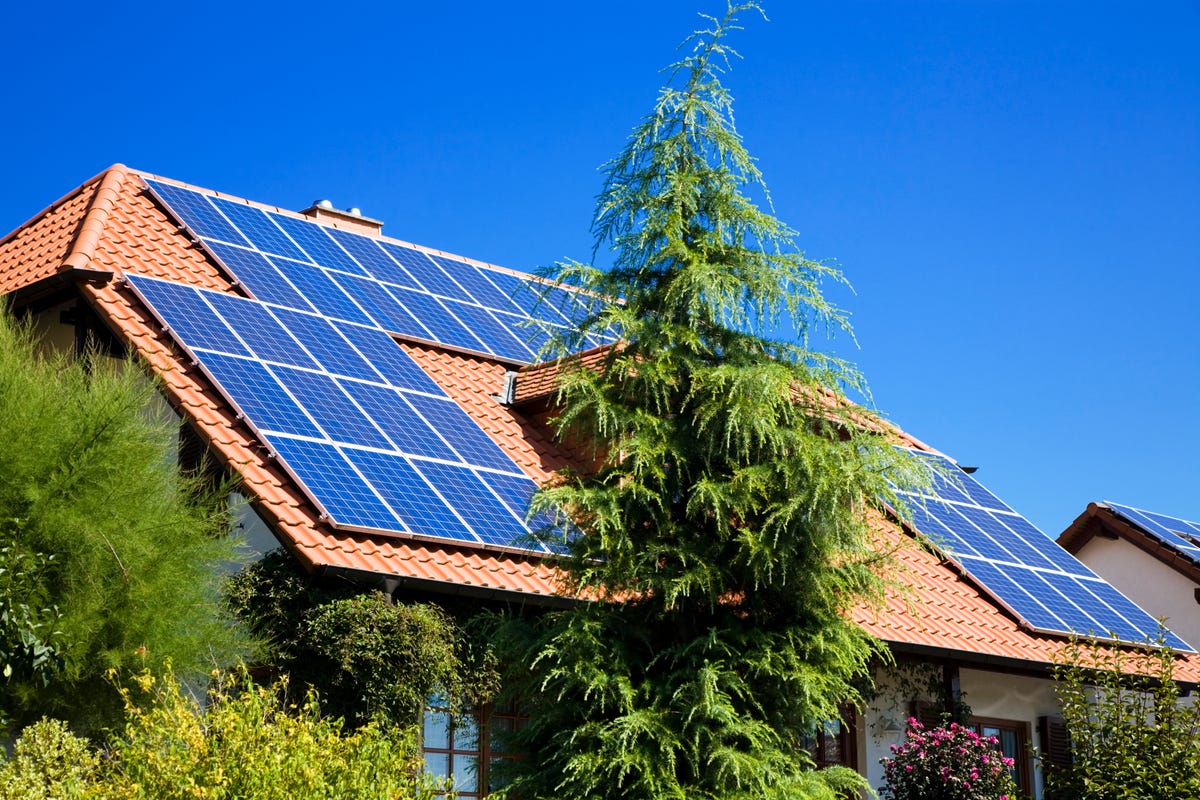 A house with solar panels behind a coniferous tree.