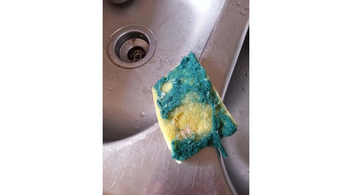 Used kitchen sponge