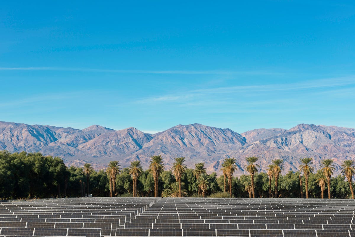 A solar farm with palm trees and mountains behind.