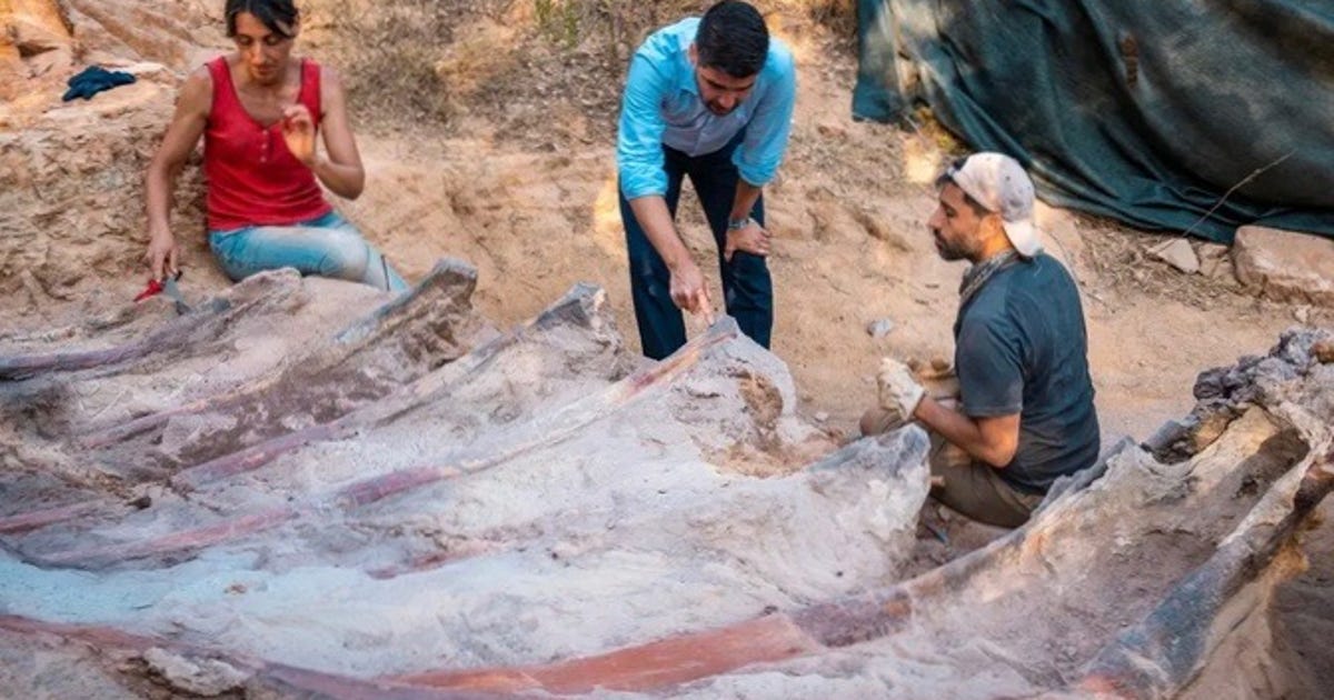 guy-finds-remains-of-massive-dinosaur-in-his-backyard-and-they-could-set-a-record