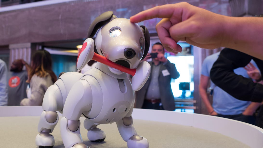 Sony’s new Aibo robot dog can be yours for a whopping ,899