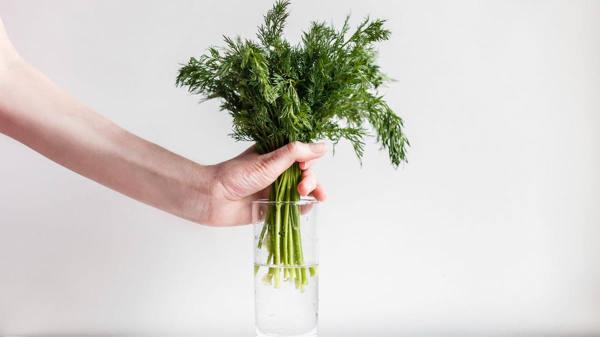 herb stored in water