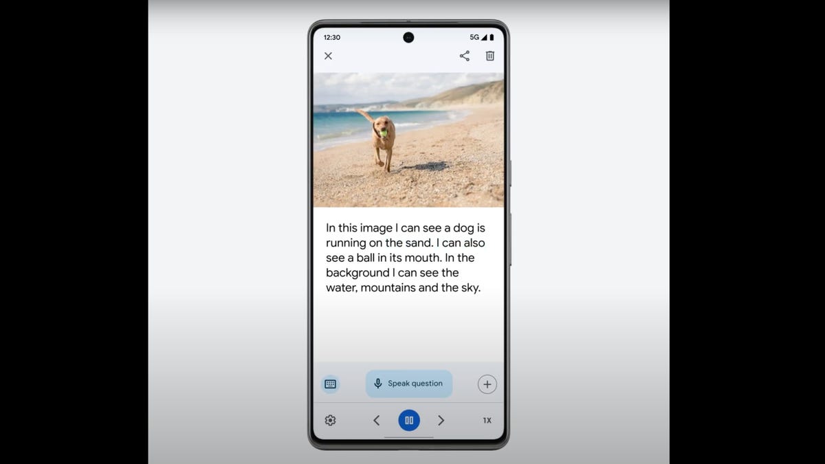 Screengrab from the Lookout app of a dog running on a beach