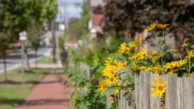 View of small-town Dover, Ohio, featuring flowers peeking through a sidewalk fence.