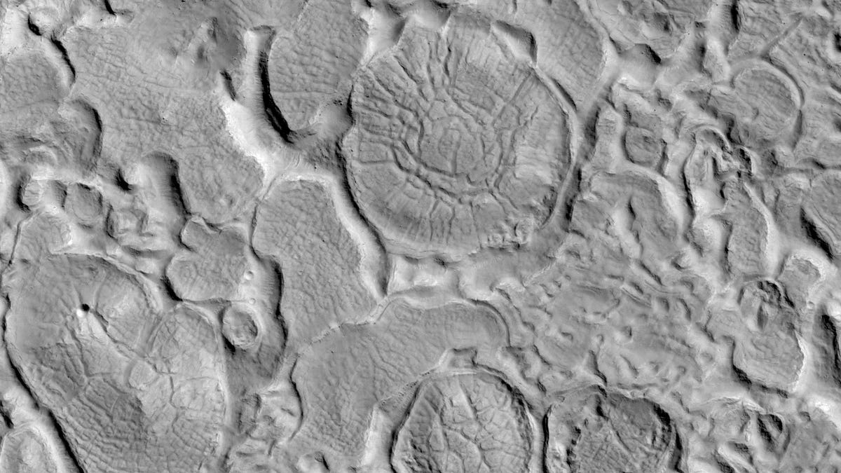 Grayscale image of Mars landscape seen from orbit shows roundish landforms, polygon shapes and trenches, making a strange looking patchwork.