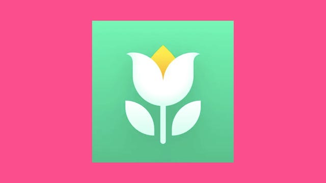 logotipo da flor pai da planta verde em fundo rosa