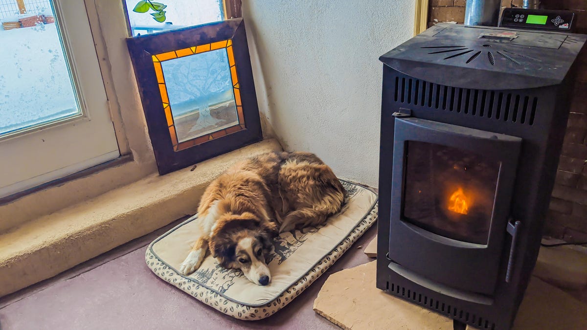 A dog on a dog bed near a wood pellet stove.
