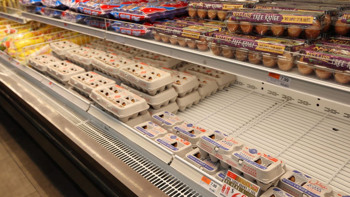 Supermarket case with egg cartons in it.