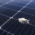 Bird poop on a solar panel.