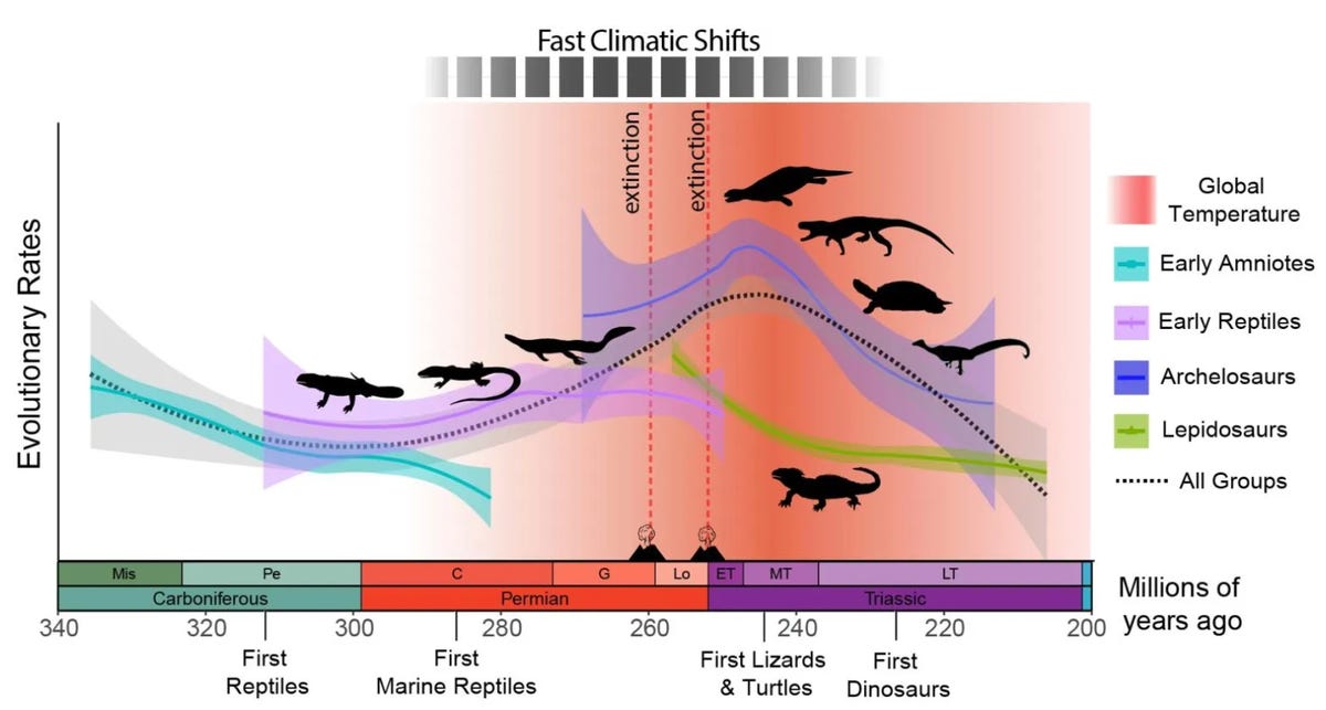 figure showing reptile evolution